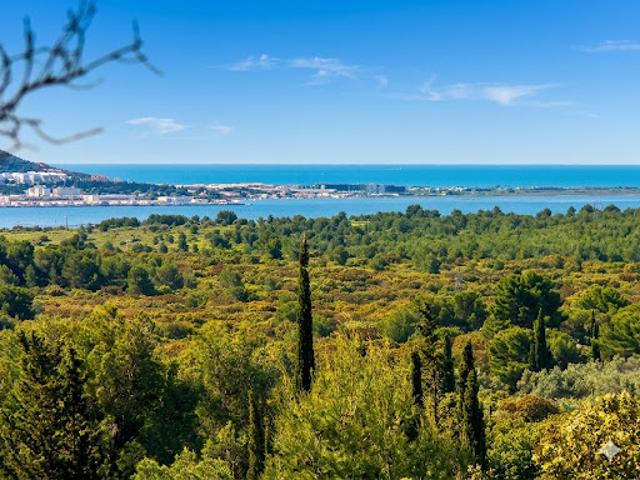 Vente Terrain de loisirs 605 m2 Poussan