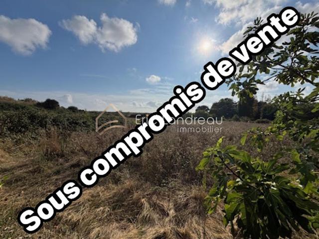 Vente Terrain de loisirs 6120 m2 Talmont Saint Hilaire