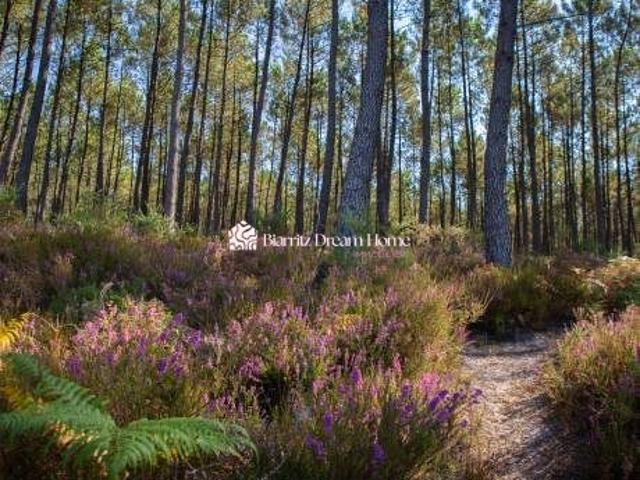 Vente Terrain constructible 0 m2 Labenne