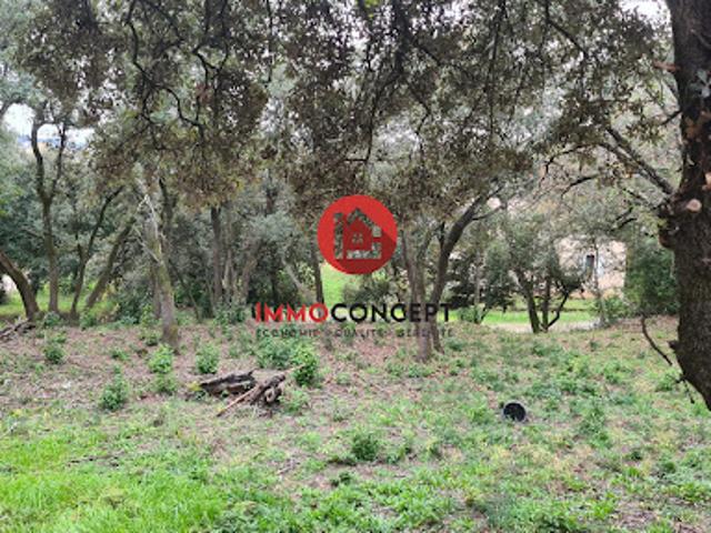 Vente Terrain constructible 740 m2 Montfaucon