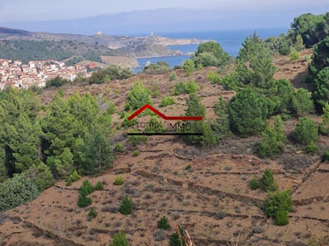 Vente Terrain 0 m2 Banyuls sur Mer