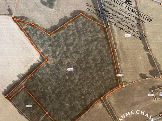 Vente Terrain 91647 m2 Saint Amand Montrond
