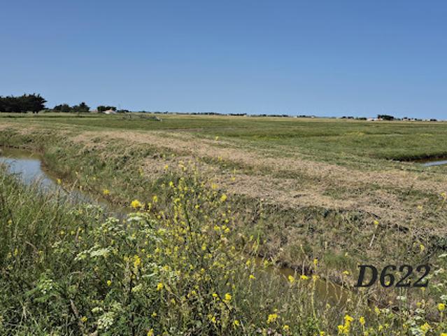 Vente Terrain de loisirs Beauvoir sur Mer