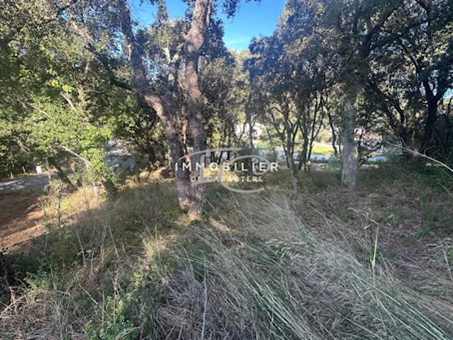 Vente Terrain 0 m2 La Croix Valmer