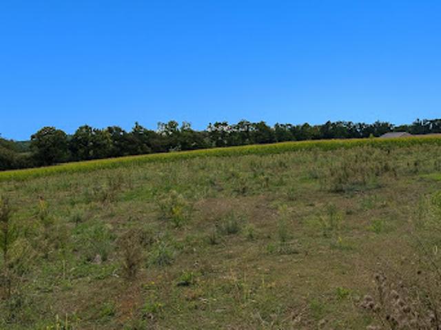 Vente Terrain 0 m2 Savigneux