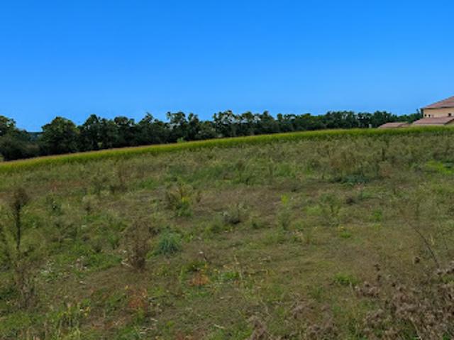 Vente Terrain 0 m2 Savigneux