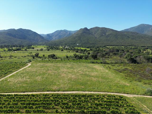 Vente Terrain 2270 m2 Saint andre
