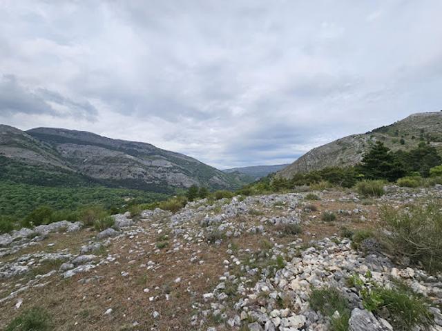 Vente Terrain de loisirs Saint Vallier de Thiey