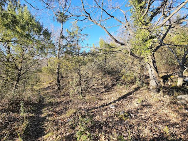 Vente Terrain de loisirs Saint Vallier de Thiey