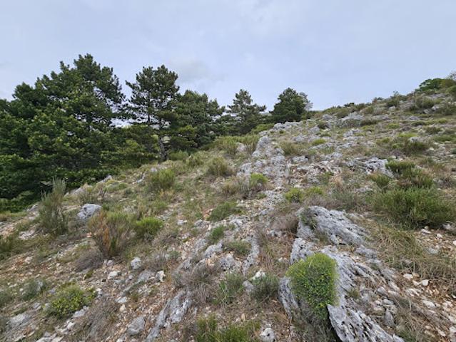 Vente Terrain de loisirs Saint Vallier de Thiey