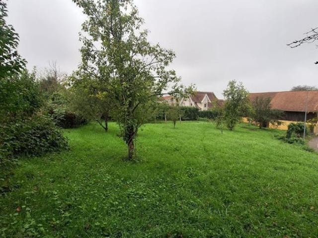 Vente Terrain Heidwiller