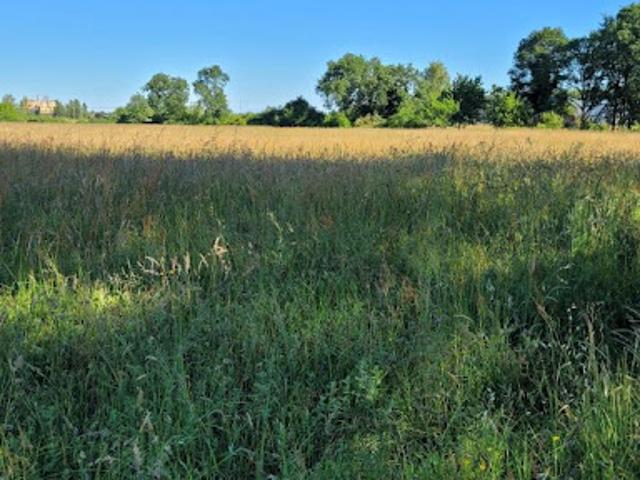 Vente Terrain 0 m2 Rieumes