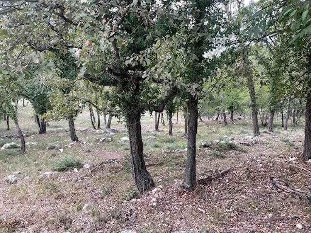 Vente Terrain Roquefort les Pins