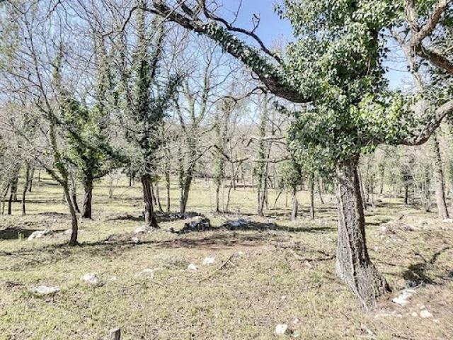 Vente Terrain Roquefort les Pins