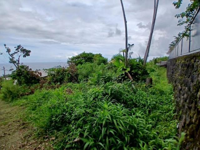 Vente Terrain Saint Philippe