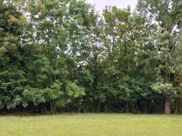Vente Terrain Saint Saturnin