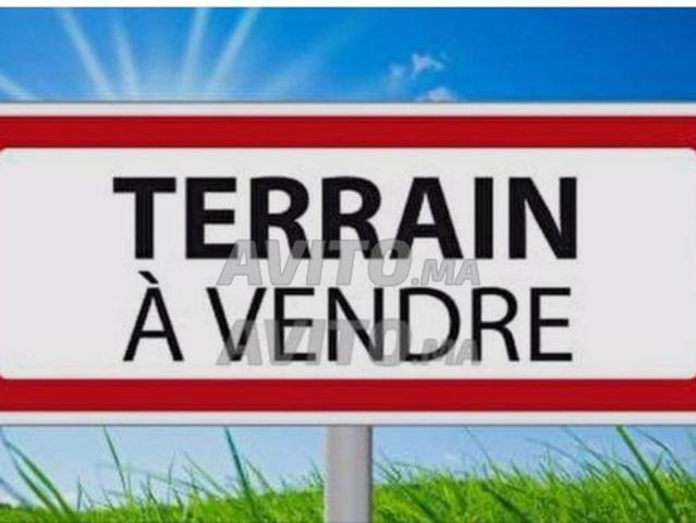 Vente terrain sidi alrabi ain aouda