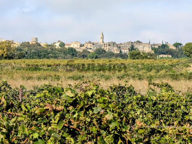 Vente Terrain 0 m2 Castillon du Gard