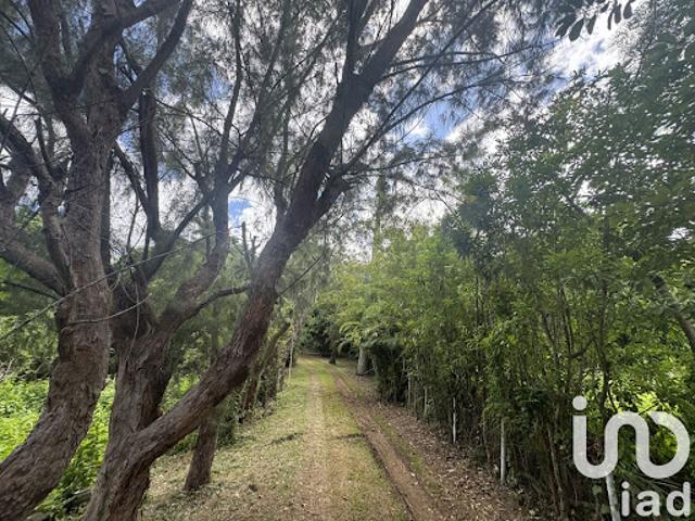 Vente Terrain 3000 m2 Bois De Nefles Saint Paul