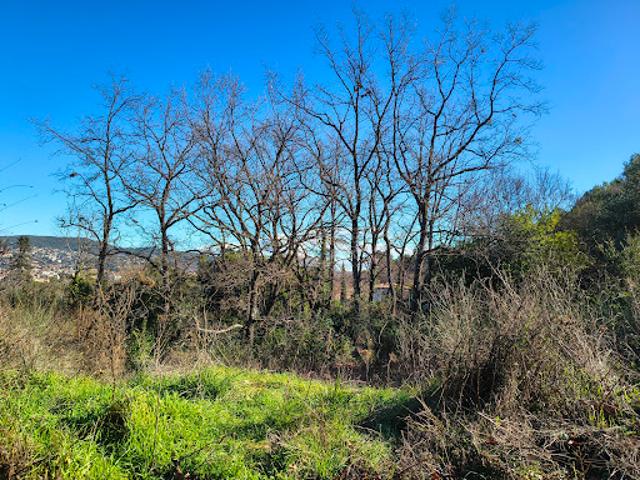 Vente Terrain 916 m2 Draguignan