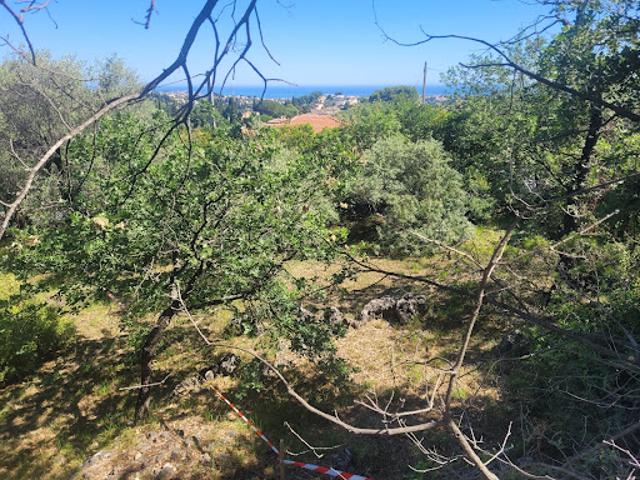Vente Terrain 0 m2 La Gaude
