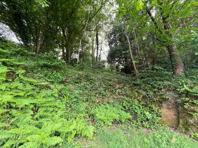 Vente Terrain 0 m2 Landerneau