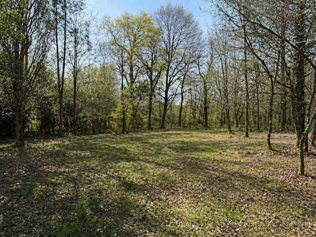 Vente Terrain 3000 m2 Léognan