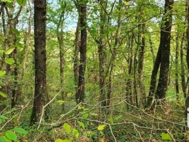 Vente Terrain 0 m2 Moret Loing et Orvanne
