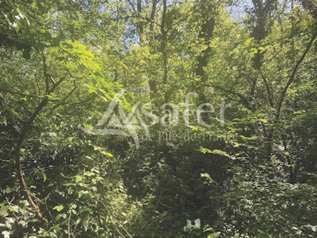 Vente Terrain 0 m2 Savigny le Temple