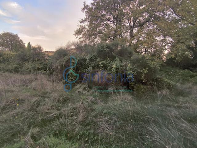 Vente Terrain 0 m2 Saint Geniès de Malgoirès