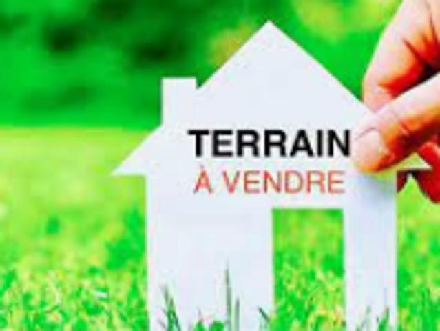 Vente Terrain 0 m2 Saint Georges de Pointindoux