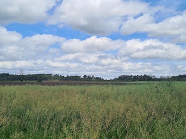 Vente Terrain 2047 m2 Saint Jacut les Pins