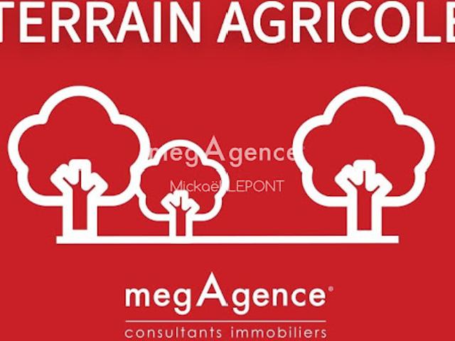 Vente Terrain 0 m2 Saint Ouën des Toits