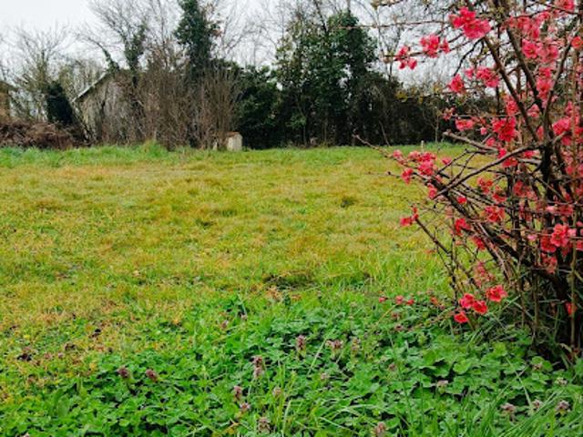 Vente Terrain 0 m2 Saint Nauphary