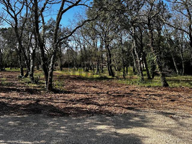 Vente Terrain 0 m2 Saint Siffret