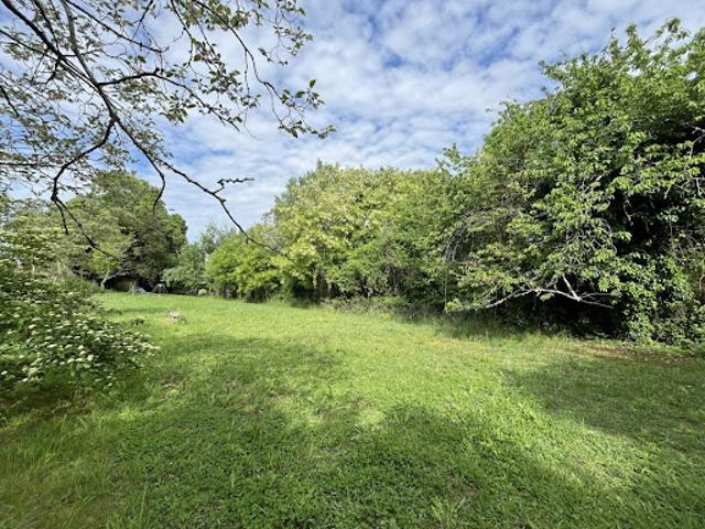 Vente Terrain 4450 m2 Saint Romain la Virvée