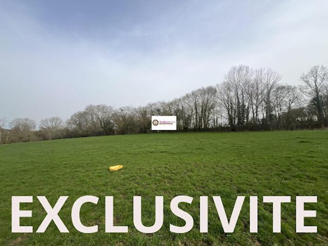 Vente Terrain 59860 m2 Sainte Scolasse sur Sarthe