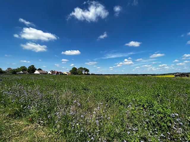 Vente Terrain 0 m2 Septeuil