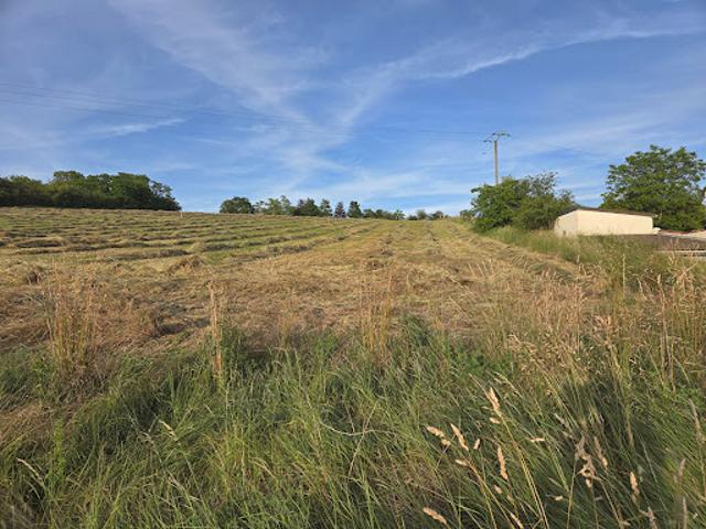 Vente Terrain 0 m2 Sergines