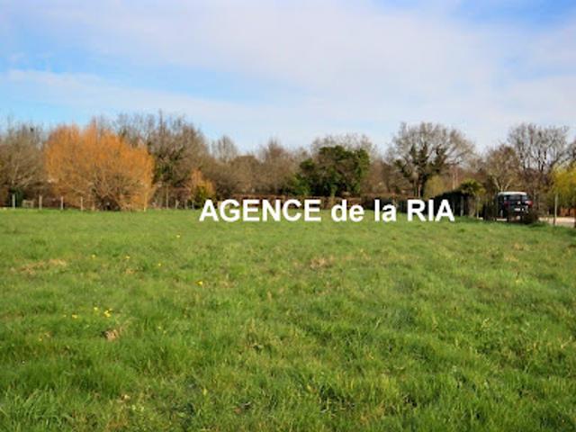 Vente Terrain 2040 m2 Pornic