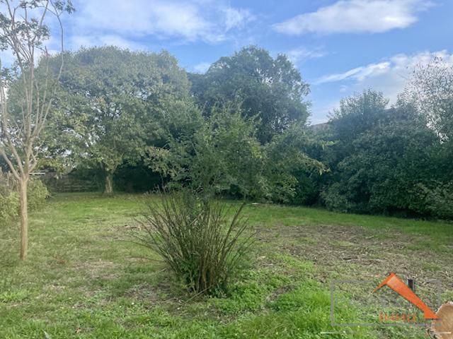 Vente Terrain 818 m2 Palaminy