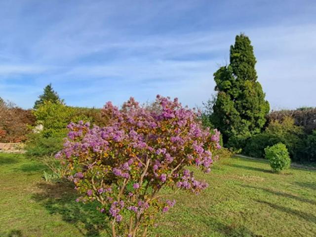 Vente Terrain 727 m2 Pernes les Fontaines