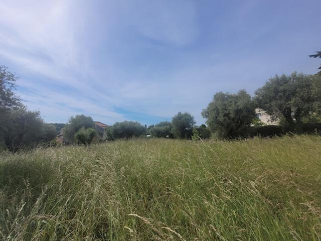 Vente Terrain 1002 m2 Vence