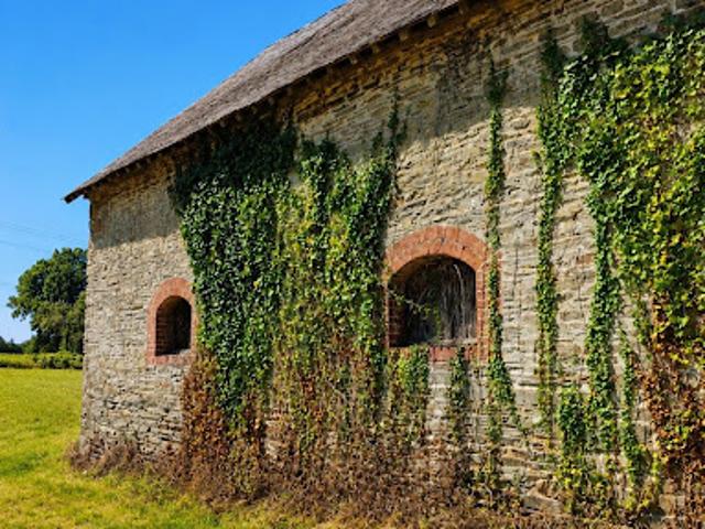 Vente Terrain 14000 m2 Thuboeuf