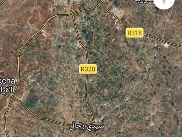 Vente terrain 14000 m² à El Jadida