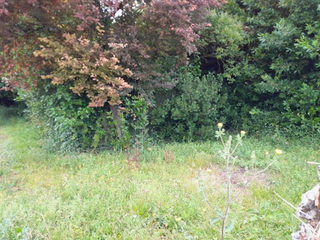 Vente Terrain 1400 m2 Cissac Médoc