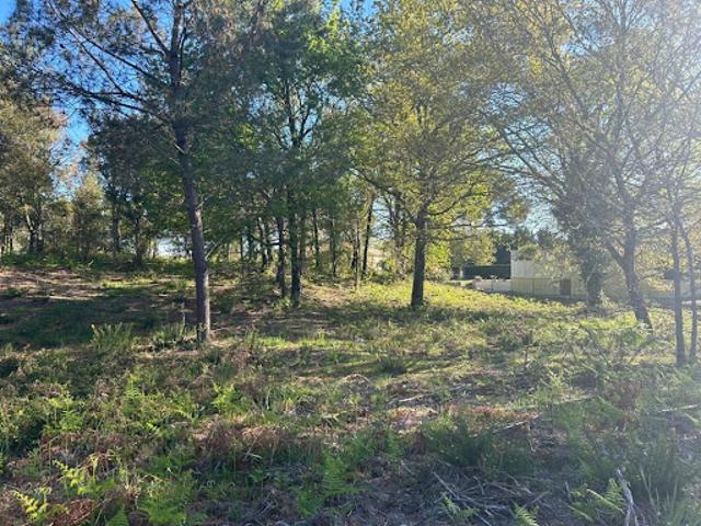 Vente Terrain 1400 m2 Biscarrosse