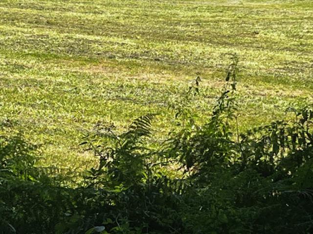 Vente Terrain 1400 m2 Gémozac