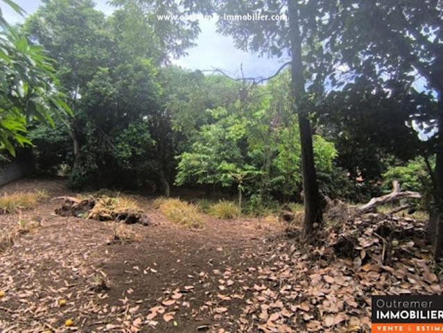Vente Terrain 1400 m2 Saint Louis