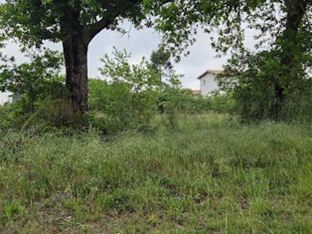 Vente Terrain 1400 m2 Parentis en Born